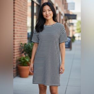 Everlane Small Navy and White Striped Dress